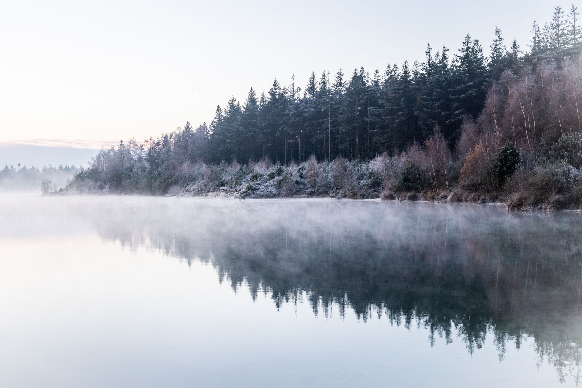 Scandinavian lake surrounded by pine forest in mist