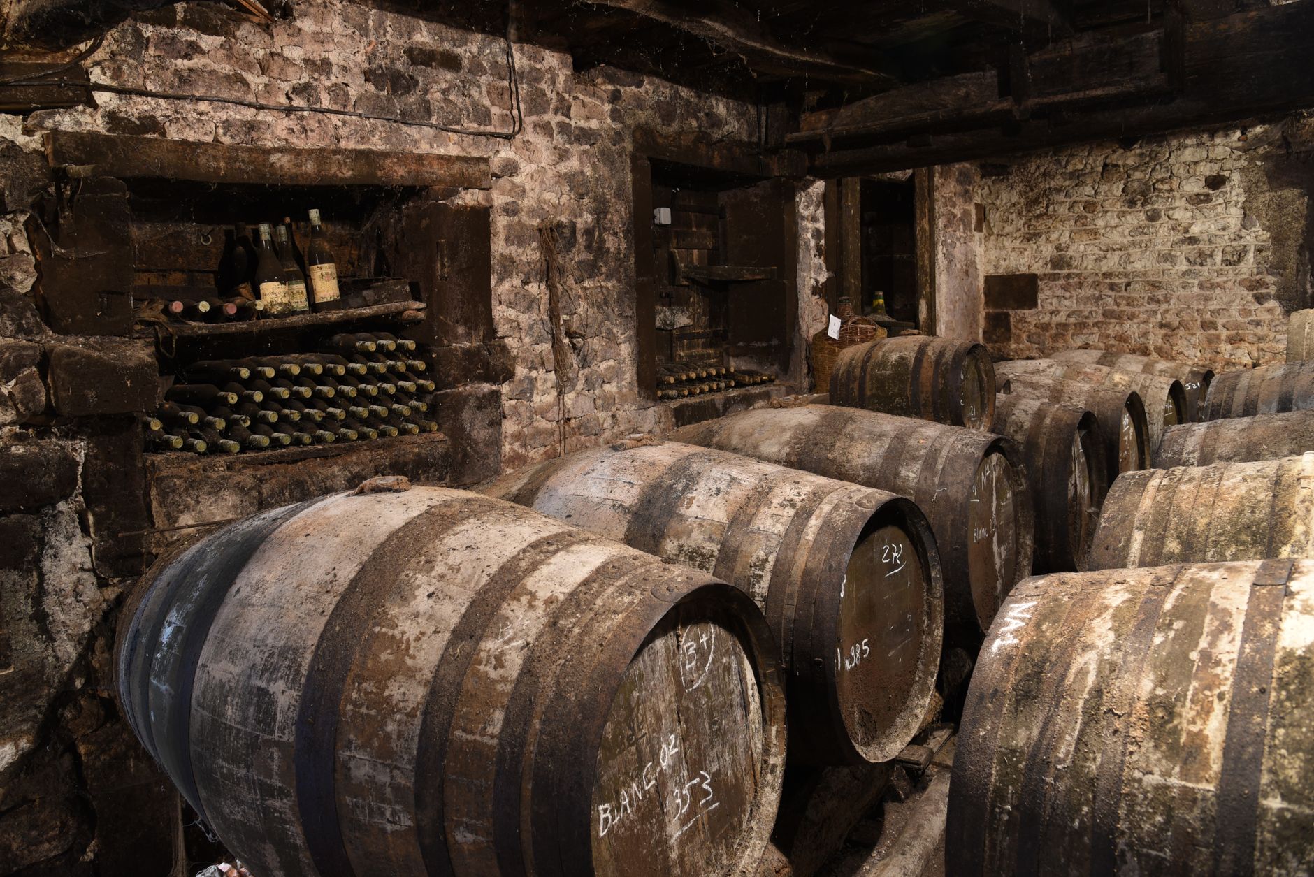 Rustic wine cellar and private dining experience